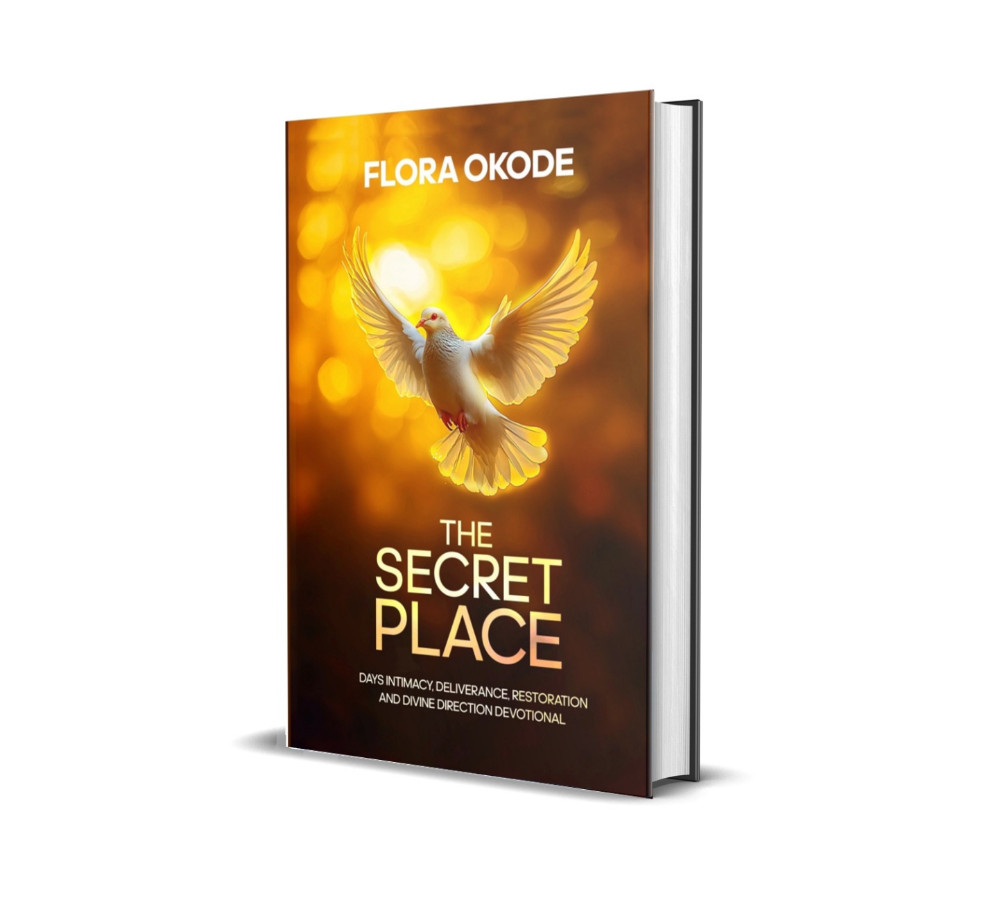 Homeless But Not Hopeless: My Untold Story